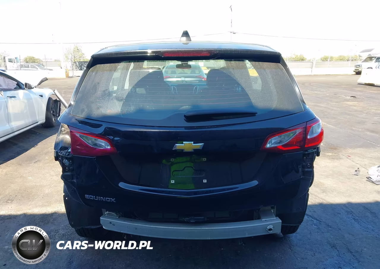 2020 Chevrolet Equinox Fwd Ls VIN:2GNAXHEV9L6169214 - 17