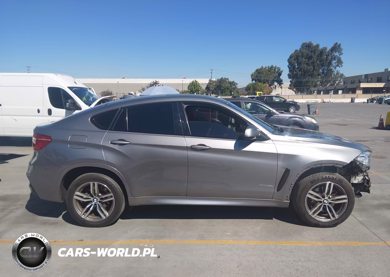 2019 BMW X6 xDrive35I VIN:5UXKU2C50K0Z65507 - 14