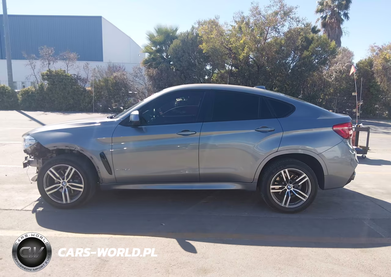 2019 BMW X6 xDrive35I VIN:5UXKU2C50K0Z65507 - 15