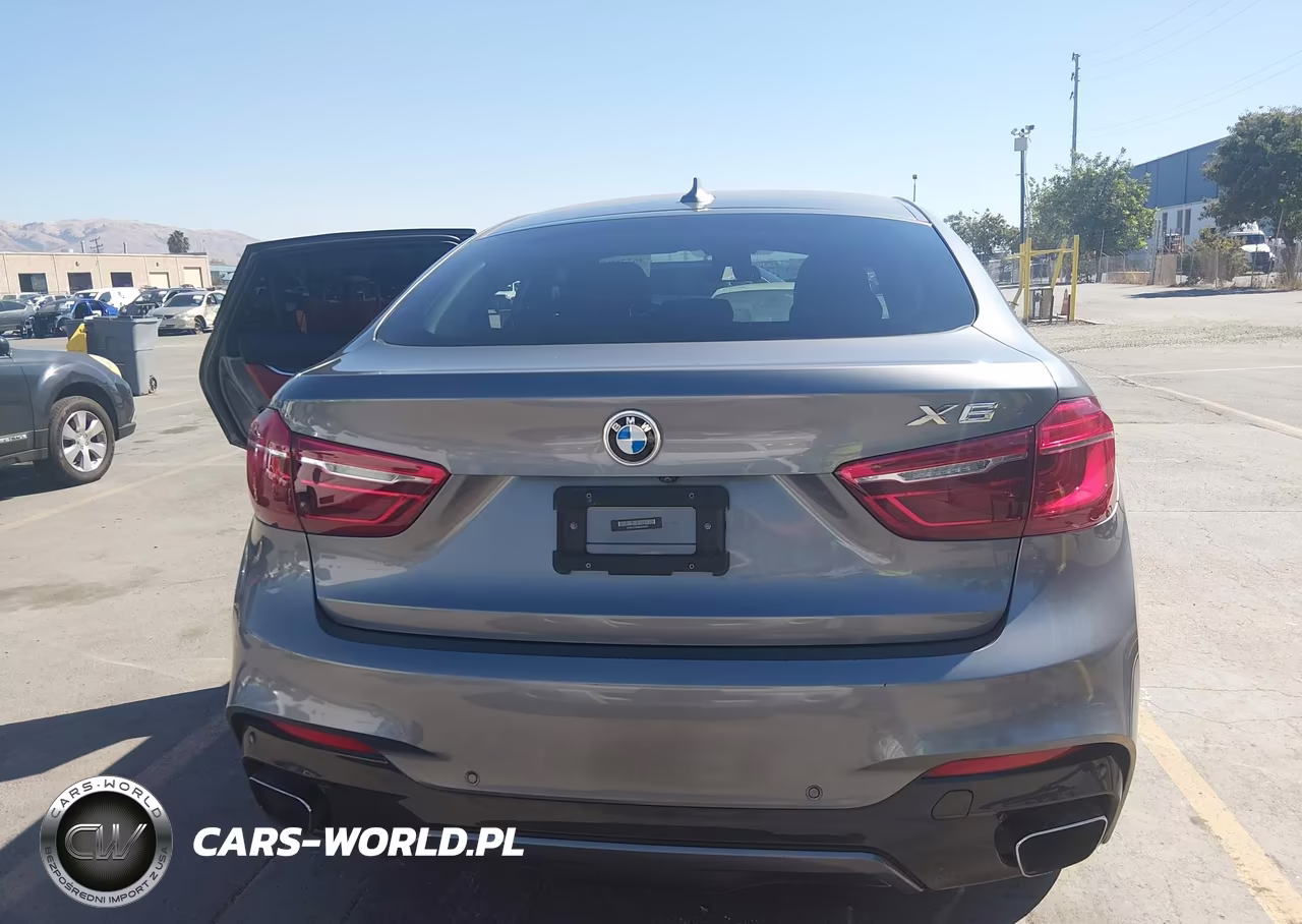 2019 BMW X6 xDrive35I VIN:5UXKU2C50K0Z65507 - 17