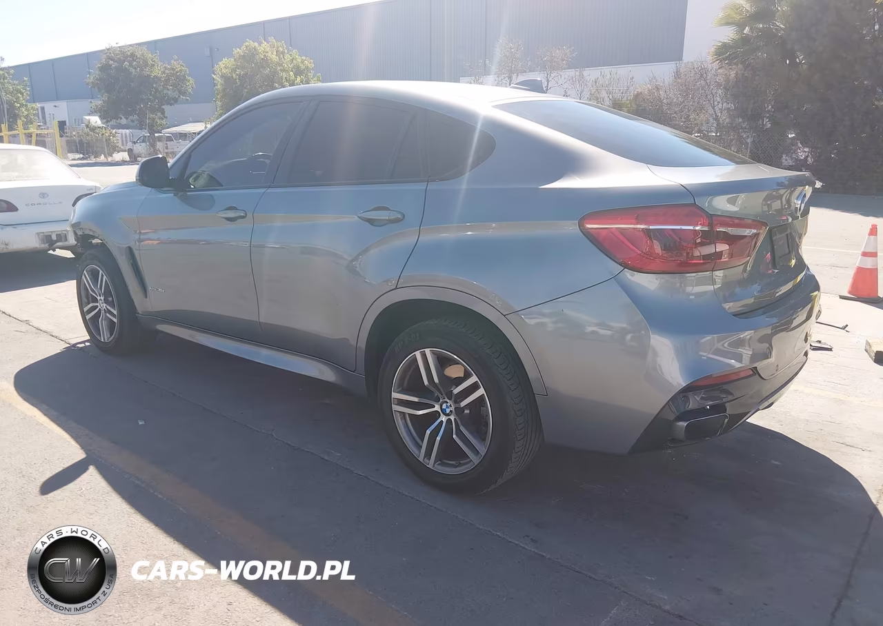 2019 BMW X6 xDrive35I VIN:5UXKU2C50K0Z65507 - 3