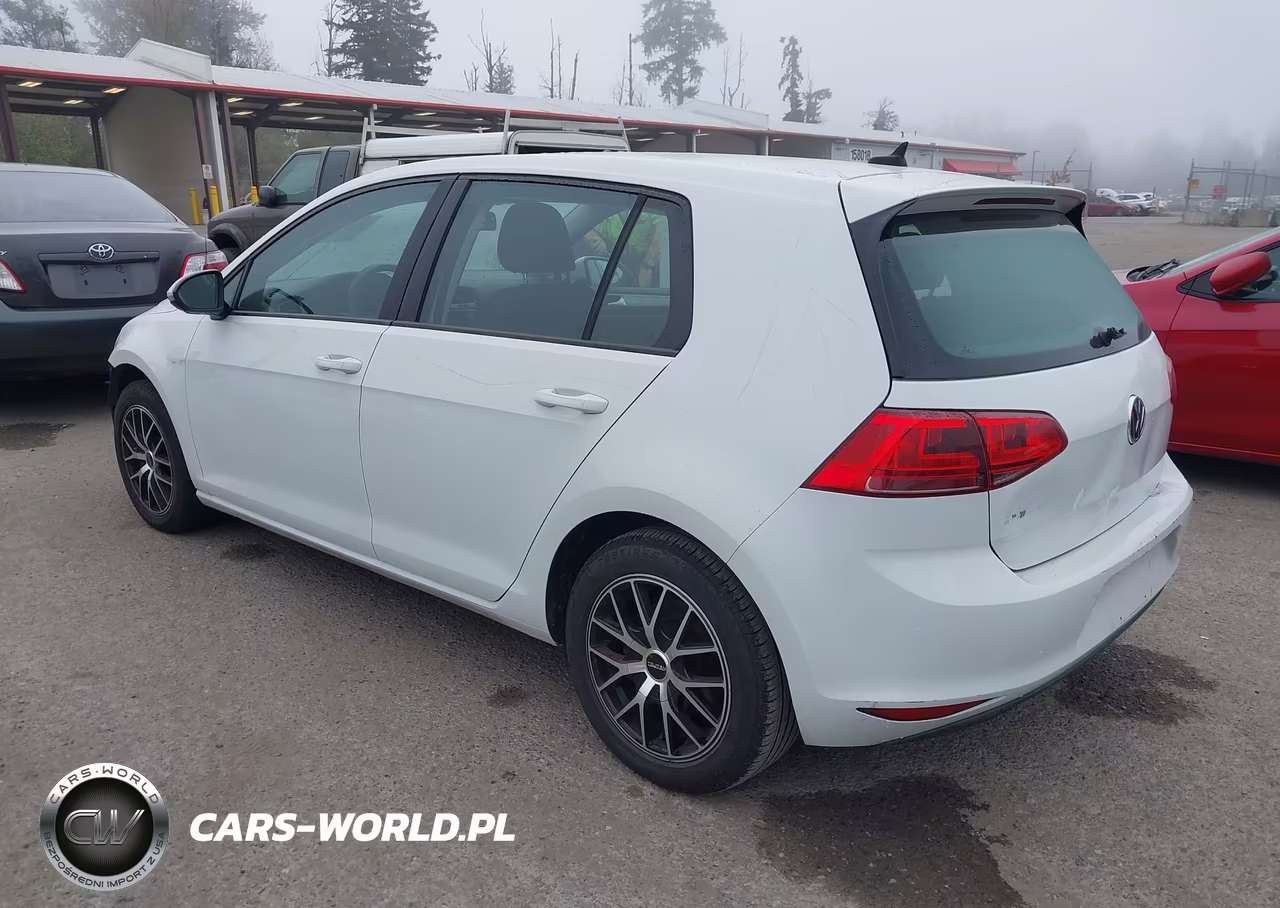 2016 Volkswagen E-Golf Se VIN:WVWKP7AU8GW916558 - 3