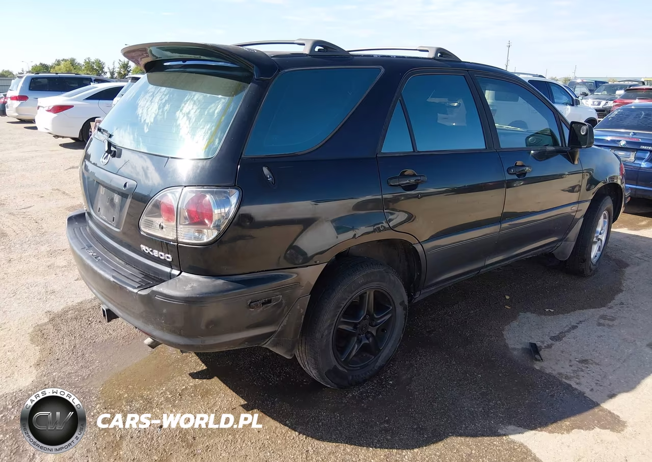 2001 Lexus Rx 300 VIN:JTJGF10U610088816 - 4