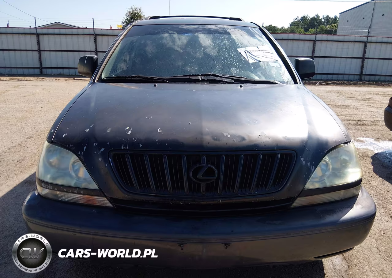 2001 Lexus Rx 300 VIN:JTJGF10U610088816 - 6