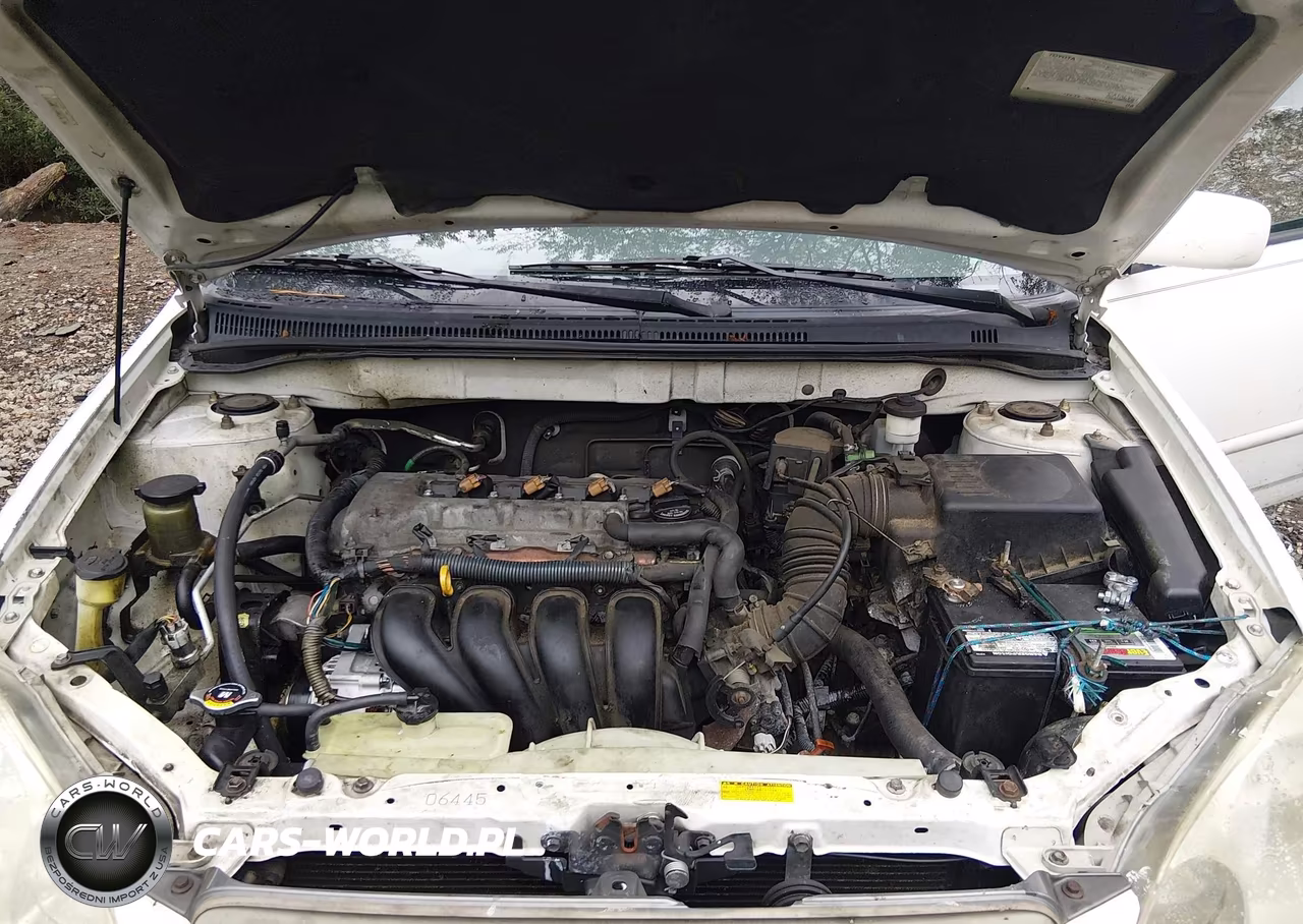 2004 Toyota Corolla Le VIN:2T1BR32E84C300793 - 10