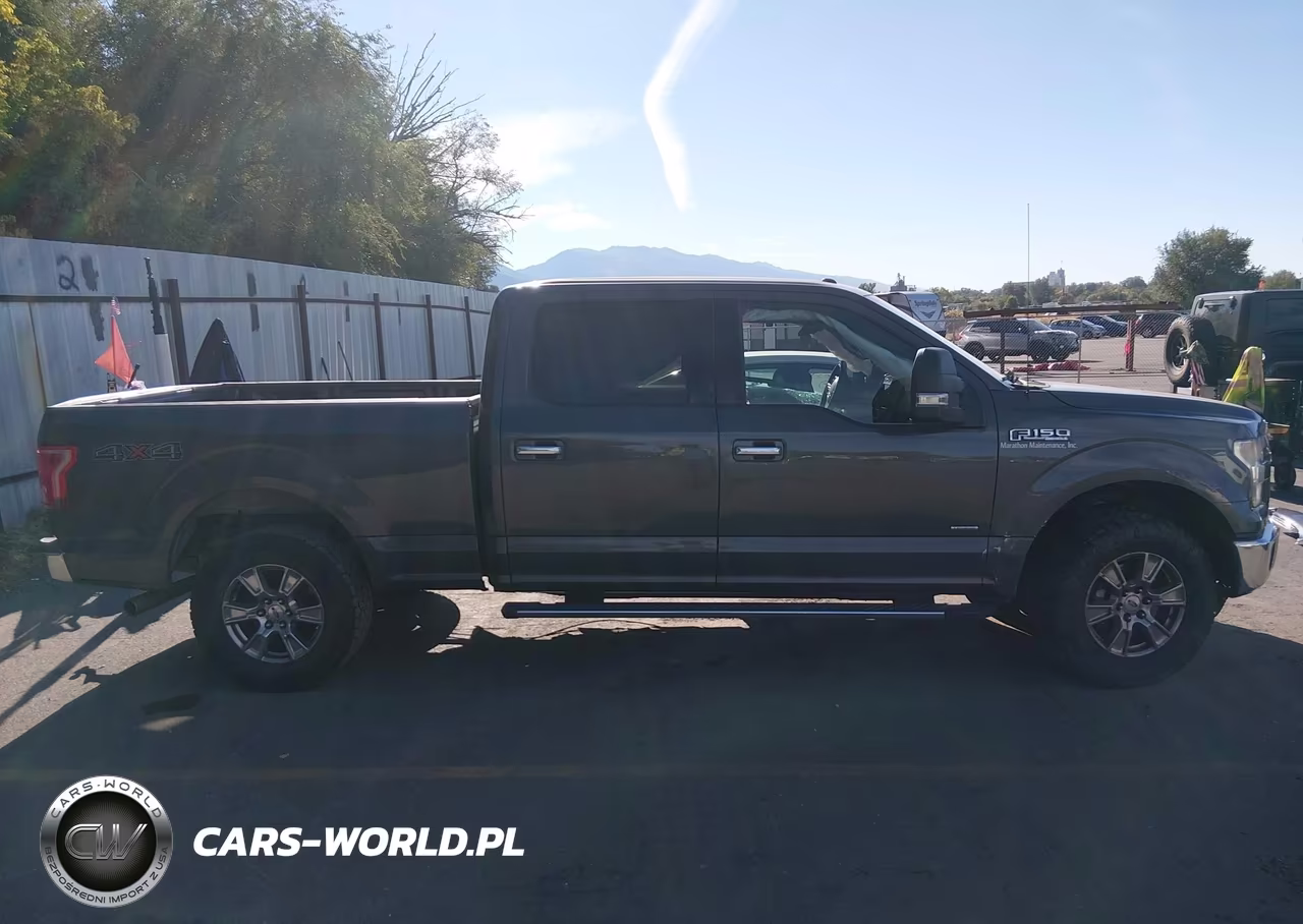 2016 Ford F-150 Xlt VIN:1FTFW1EGXGKF50048 - 14