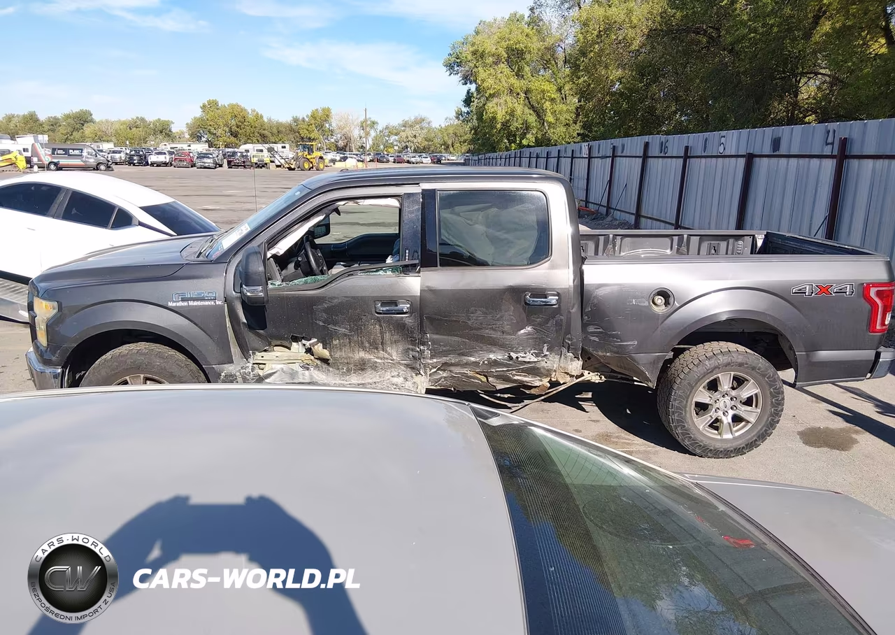 2016 Ford F-150 Xlt VIN:1FTFW1EGXGKF50048 - 15