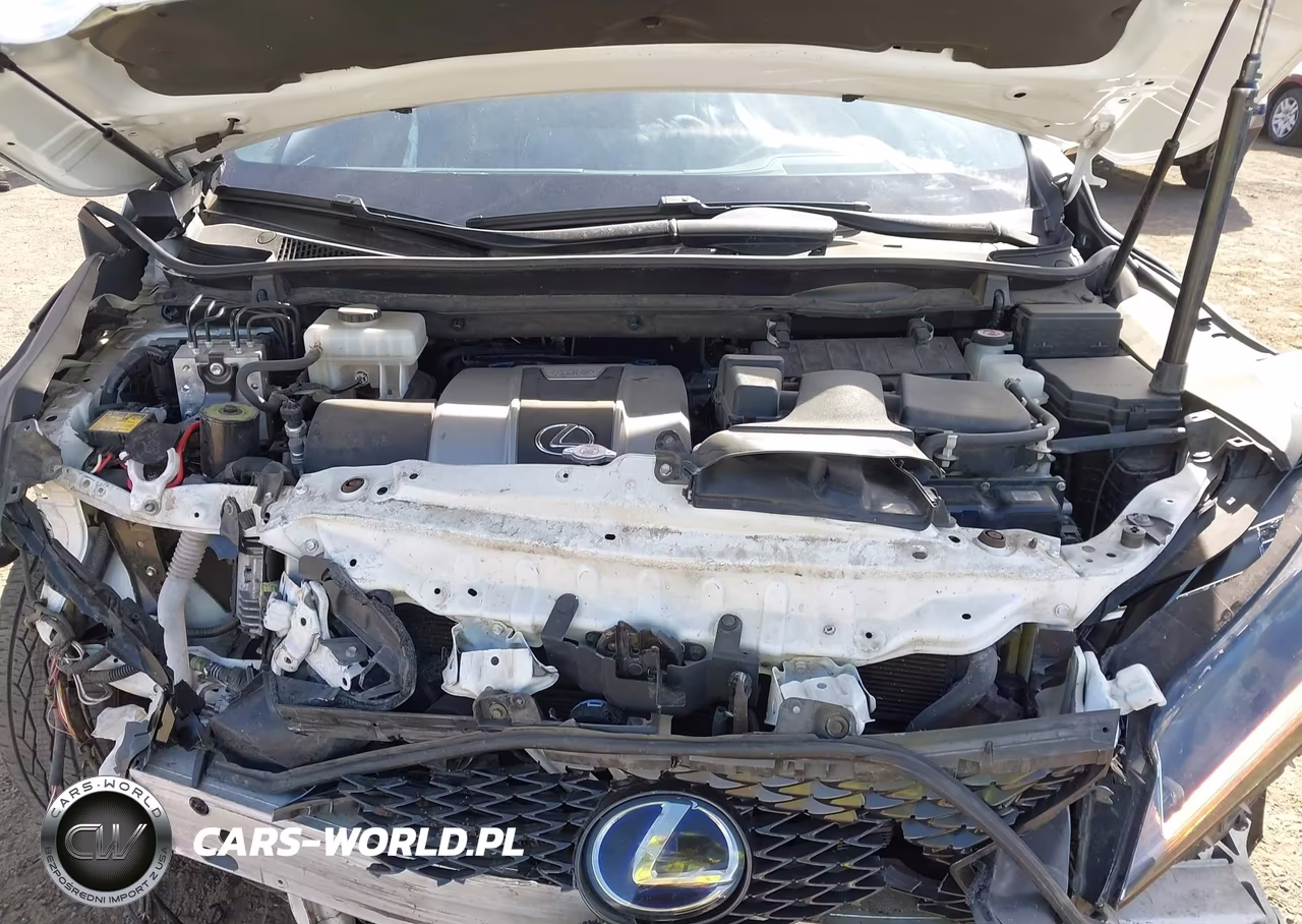 2019 Lexus Rx 450H F Sport VIN:2T2BGMCA9KC037391 - 10