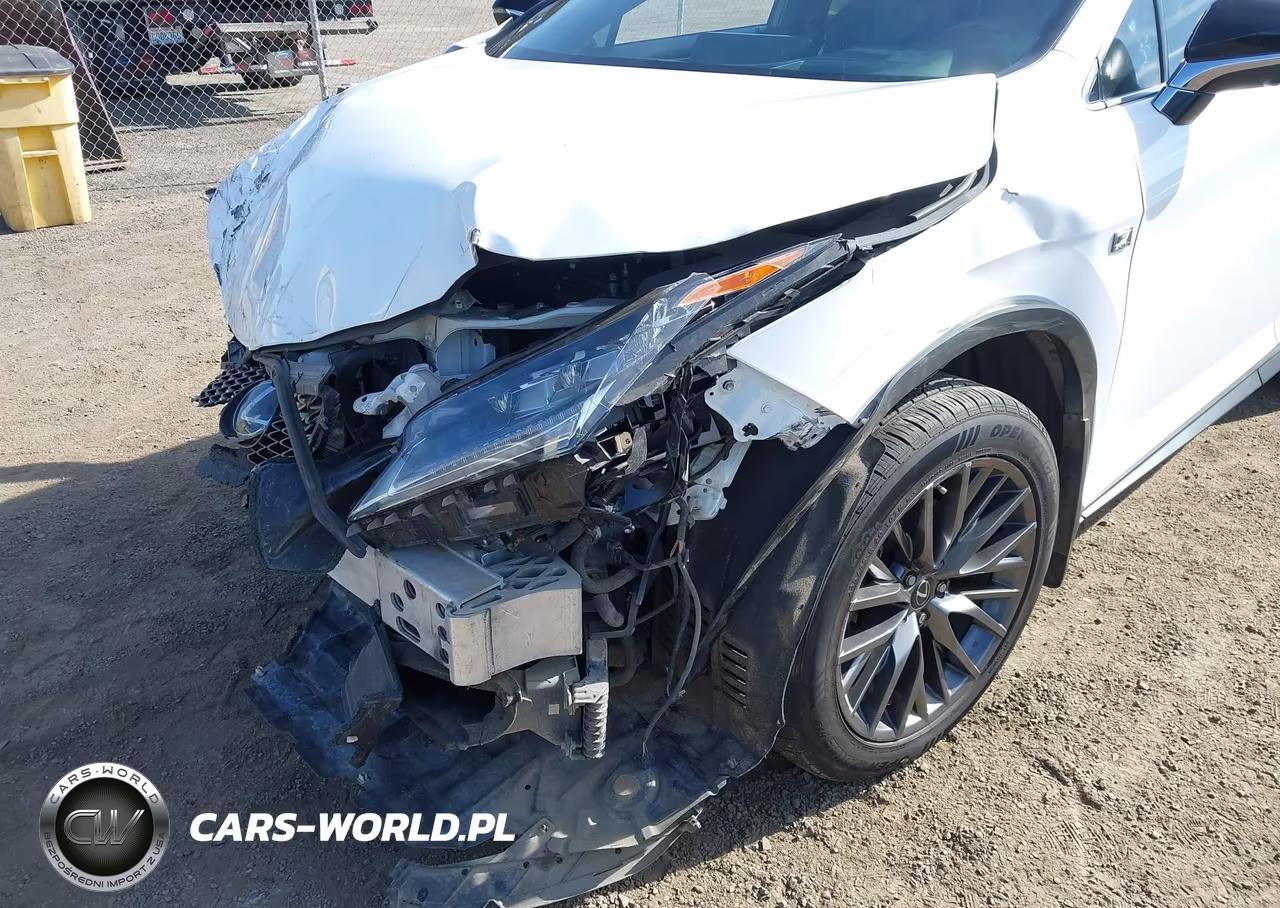 2019 Lexus Rx 450H F Sport VIN:2T2BGMCA9KC037391 - 18