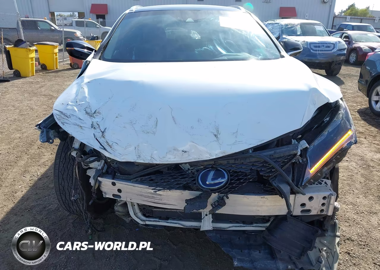 2019 Lexus Rx 450H F Sport VIN:2T2BGMCA9KC037391 - 19