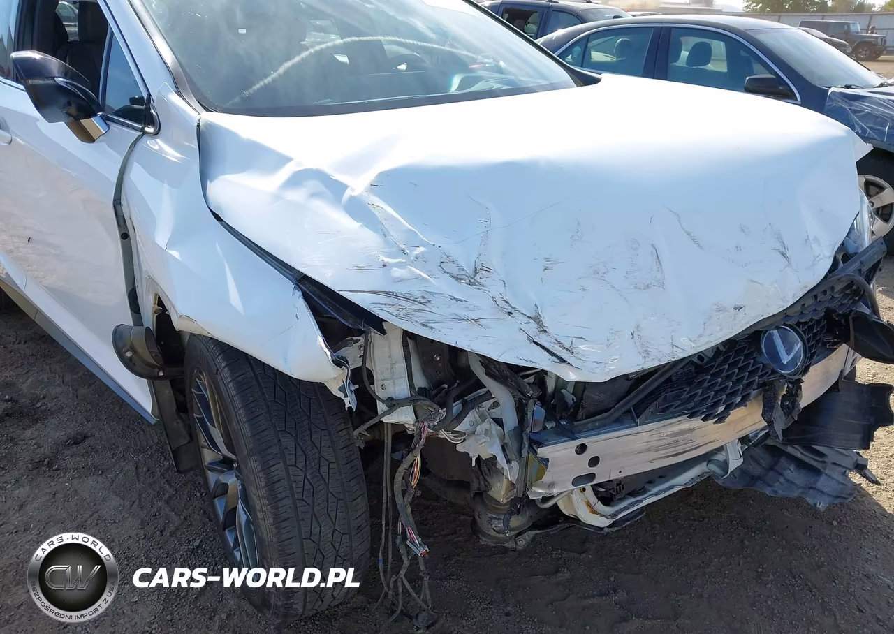 2019 Lexus Rx 450H F Sport VIN:2T2BGMCA9KC037391 - 20