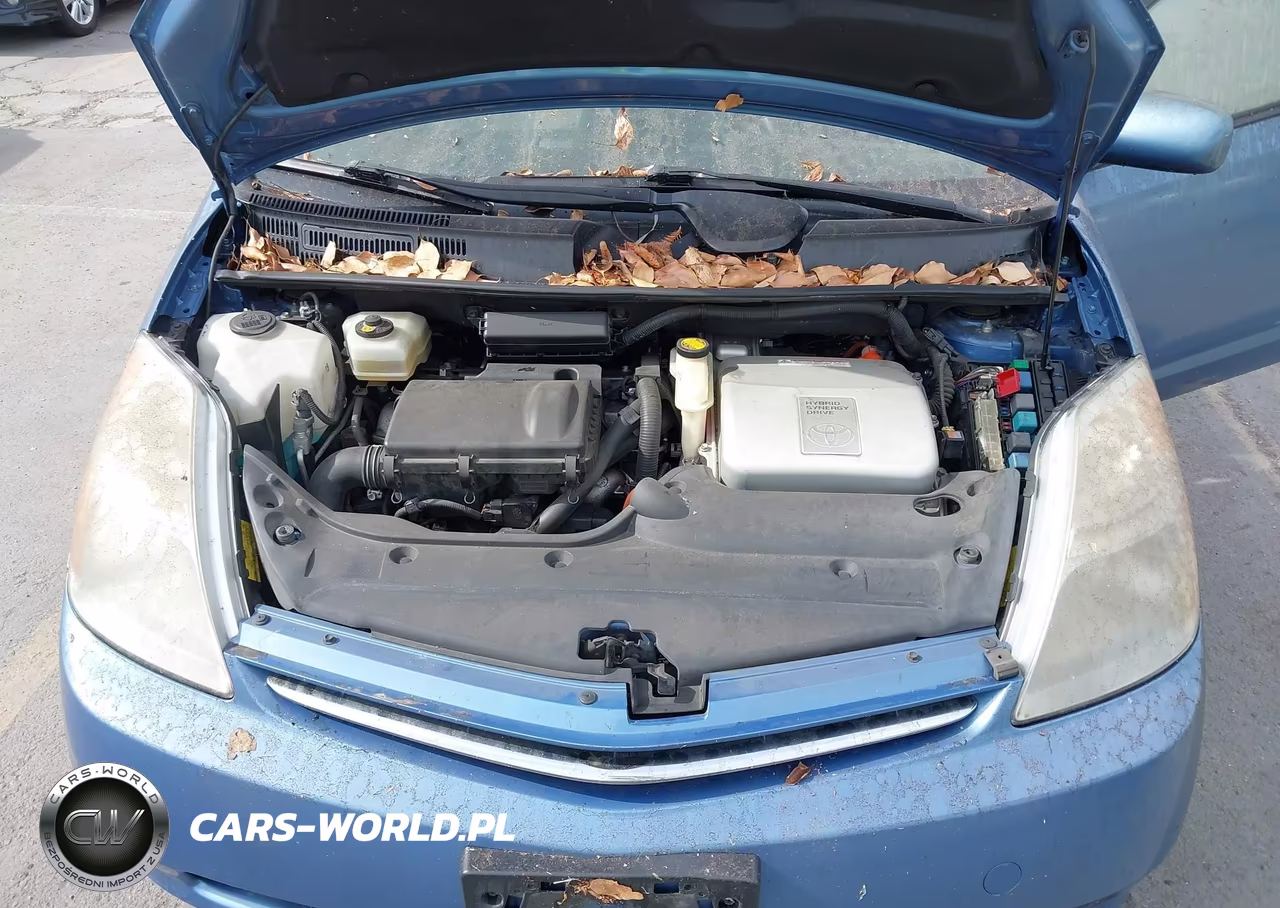 2007 Toyota Prius VIN:JTDKB20U077594317 - 10