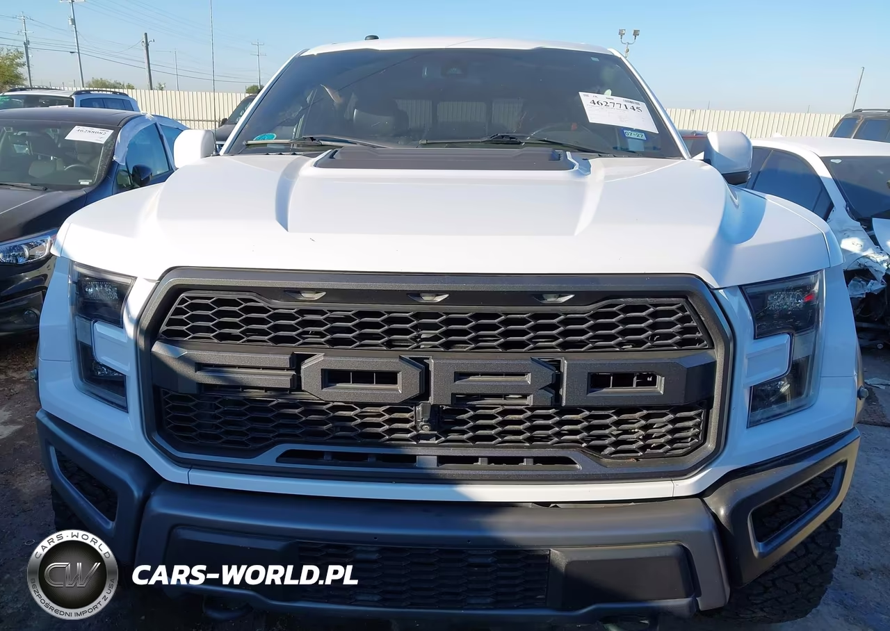 2018 Ford F-150 Raptor VIN:1FTFW1RG5JFE38798 - 13
