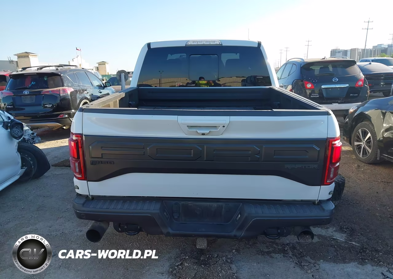 2018 Ford F-150 Raptor VIN:1FTFW1RG5JFE38798 - 17