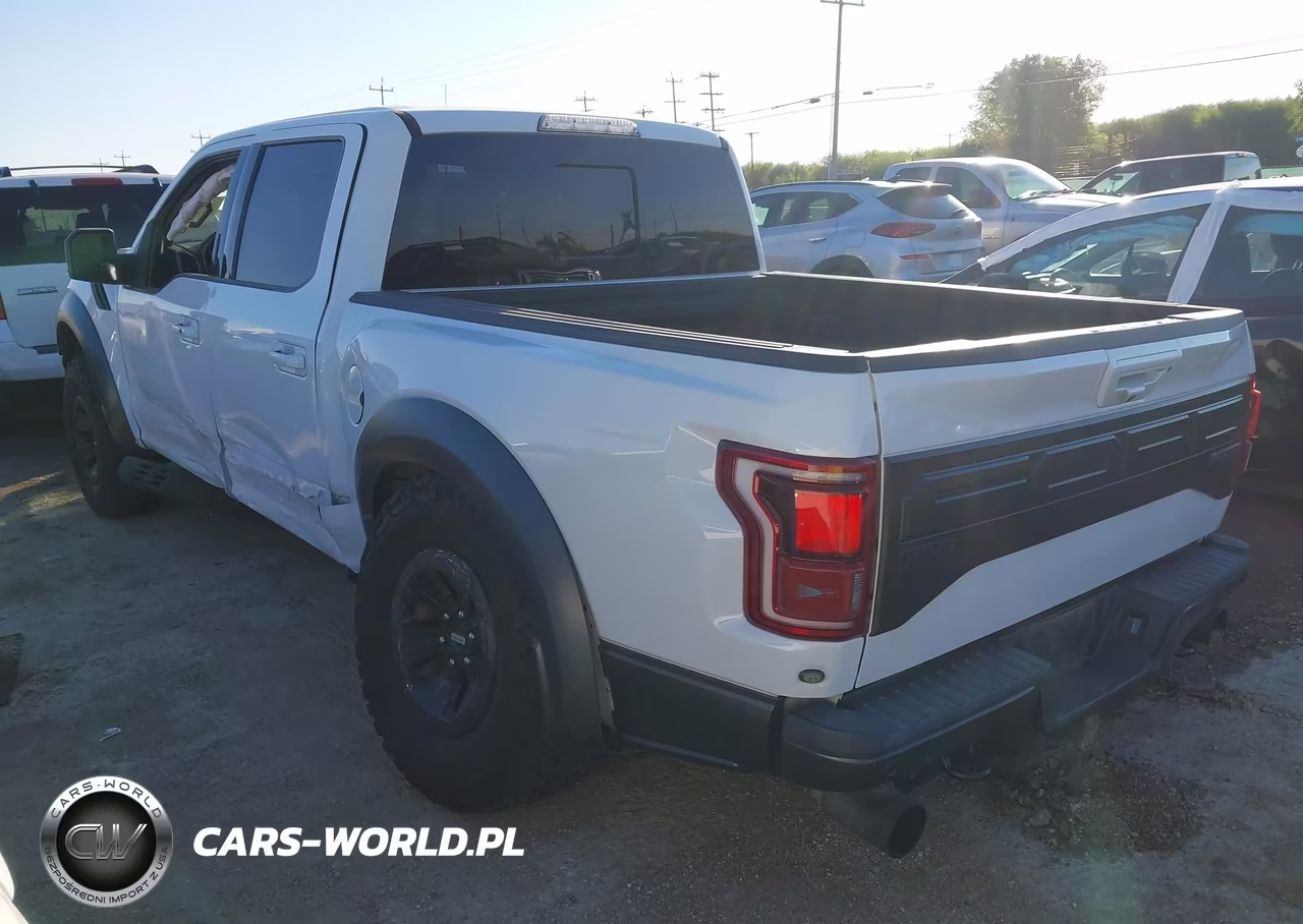 2018 Ford F-150 Raptor VIN:1FTFW1RG5JFE38798 - 3