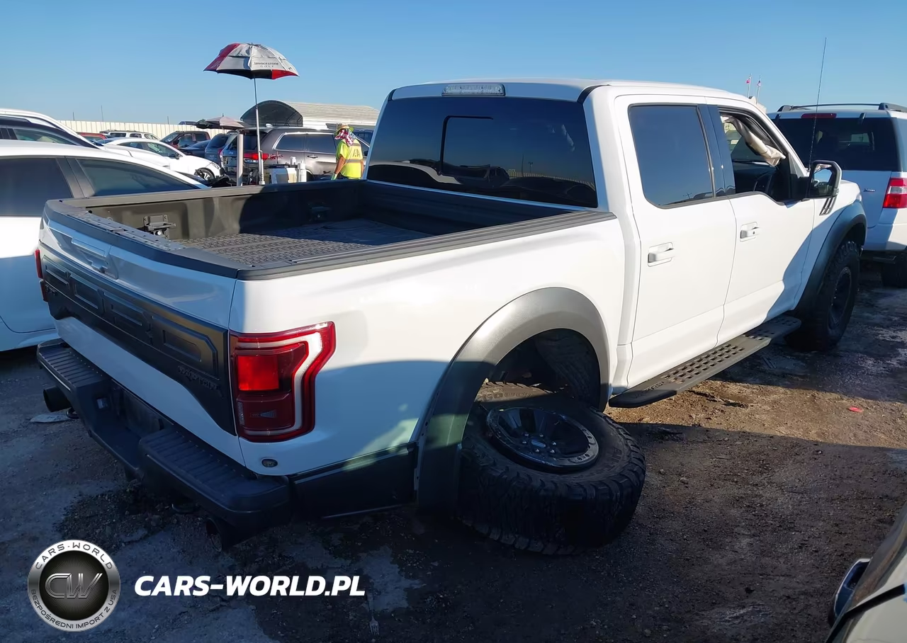 2018 Ford F-150 Raptor VIN:1FTFW1RG5JFE38798 - 4