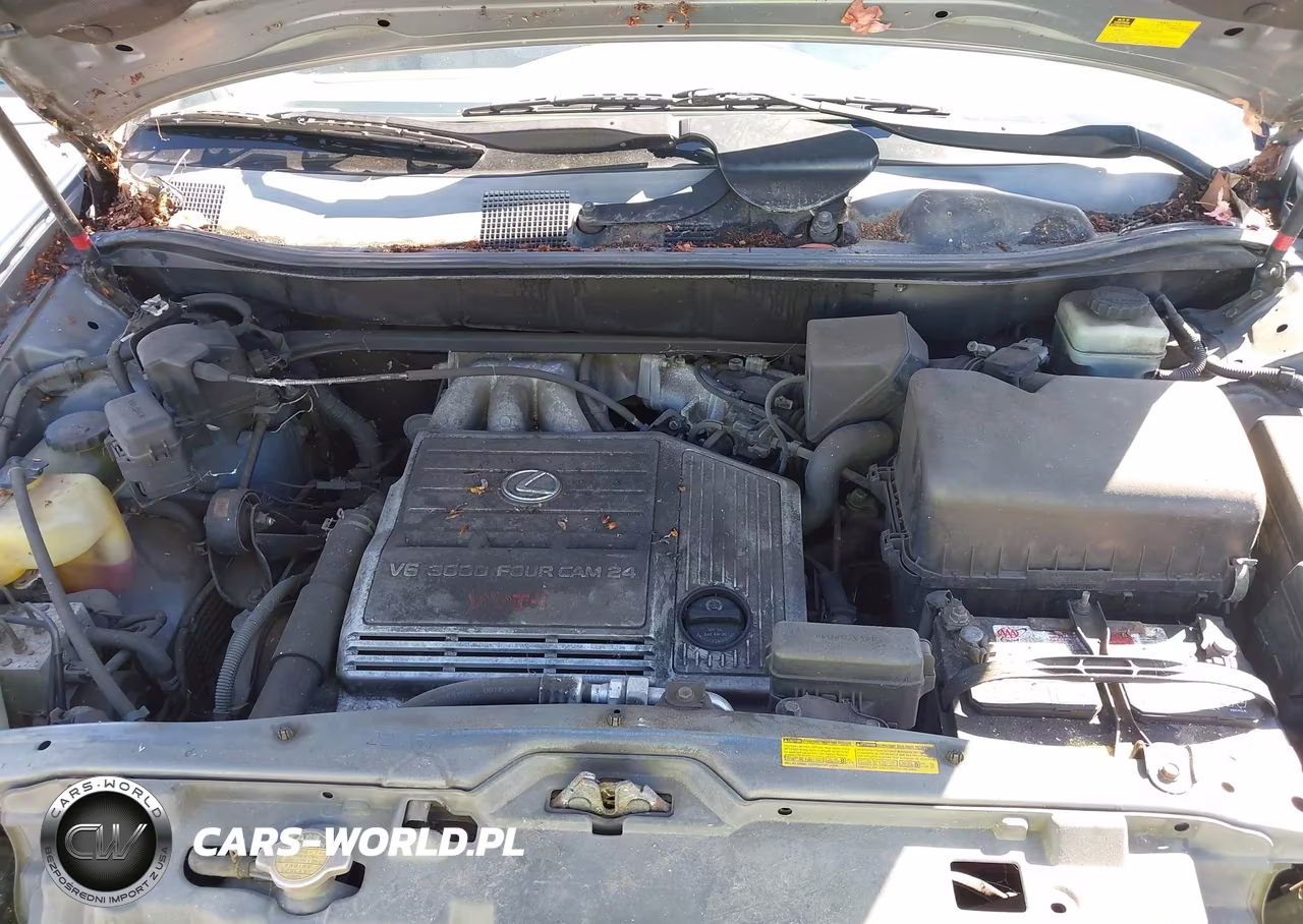2003 Lexus Rx 300 VIN:JTJGF10U030150861 - 10