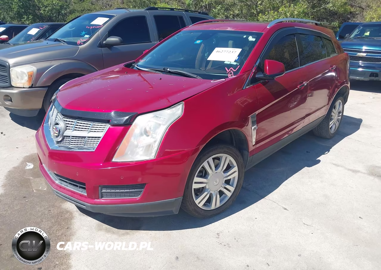 2010 Cadillac Srx Luxury Collection VIN:3GYFNAEY1AS583831 - 2