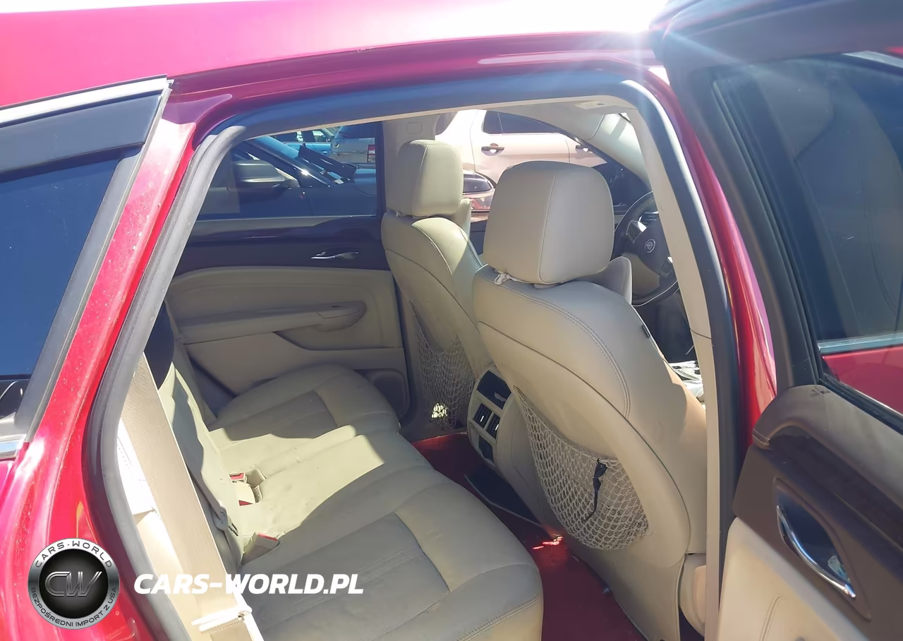 2010 Cadillac Srx Luxury Collection VIN:3GYFNAEY1AS583831 - 8