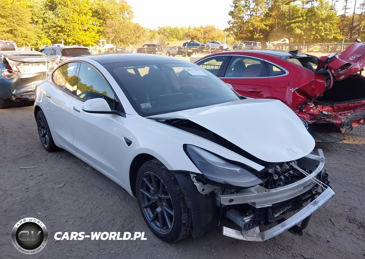 2023 Tesla Model 3 Rear-Wheel Drive