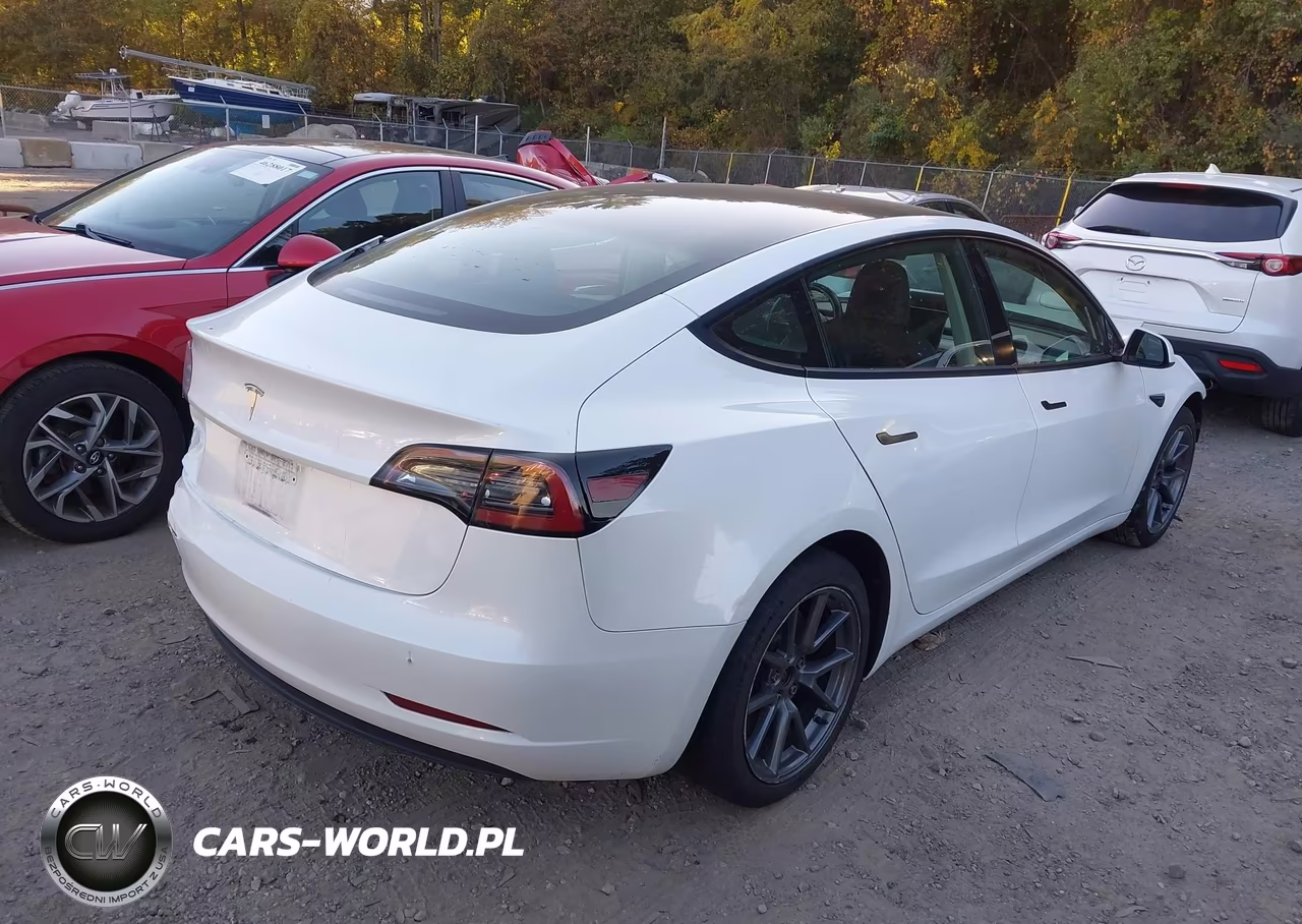 2023 Tesla Model 3 Rear-Wheel Drive VIN:5YJ3E1EA4PF385418 - 11