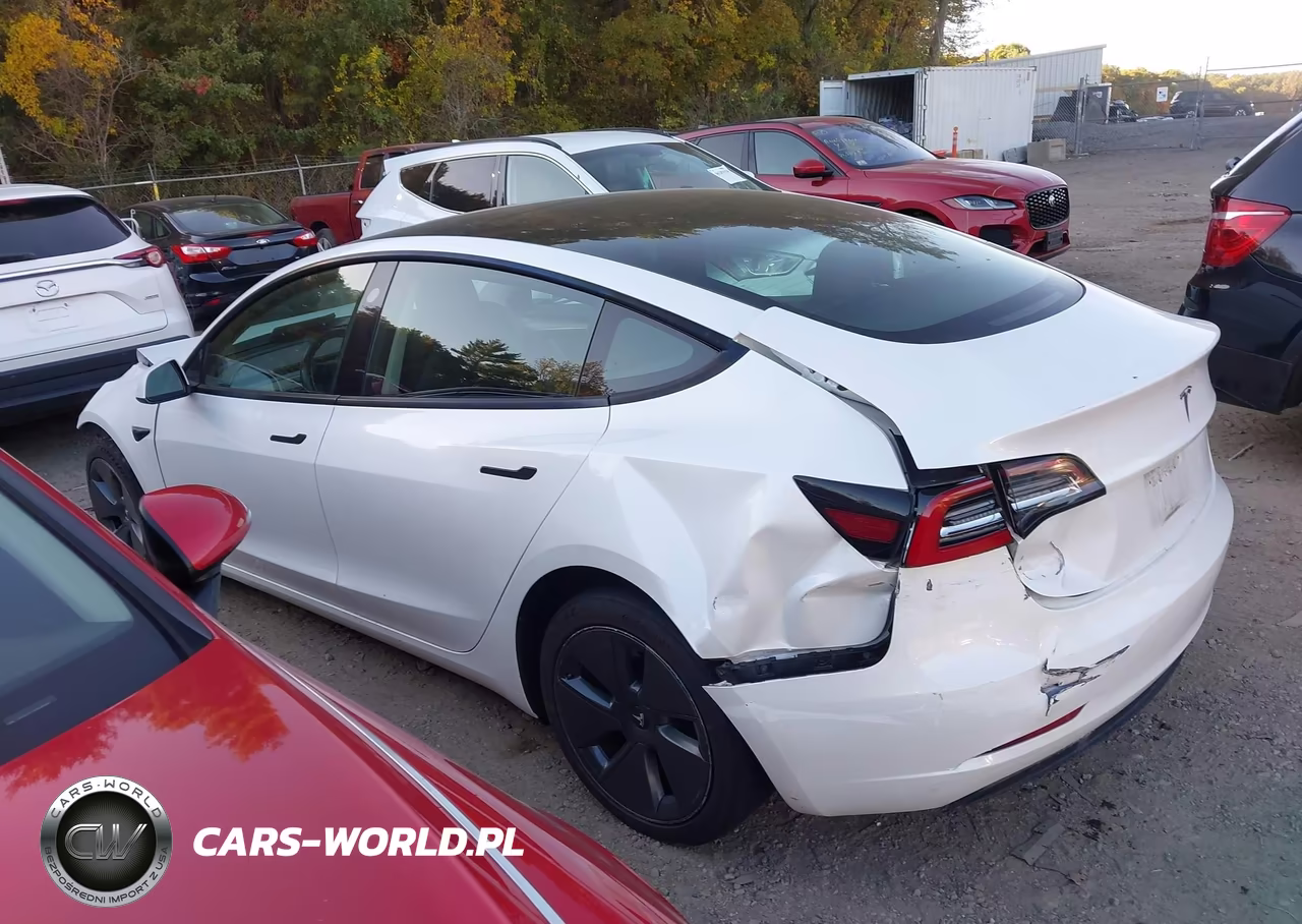 2023 Tesla Model 3 Rear-Wheel Drive VIN:5YJ3E1EA4PF385418 - 12