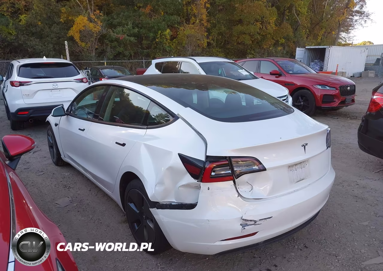 2023 Tesla Model 3 Rear-Wheel Drive VIN:5YJ3E1EA4PF385418 - 3