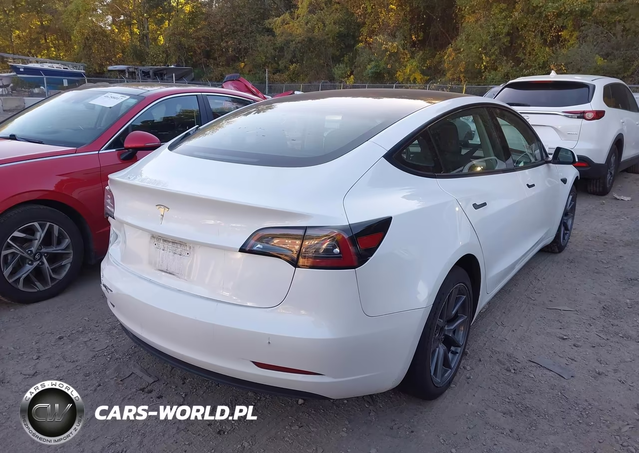 2023 Tesla Model 3 Rear-Wheel Drive VIN:5YJ3E1EA4PF385418 - 4