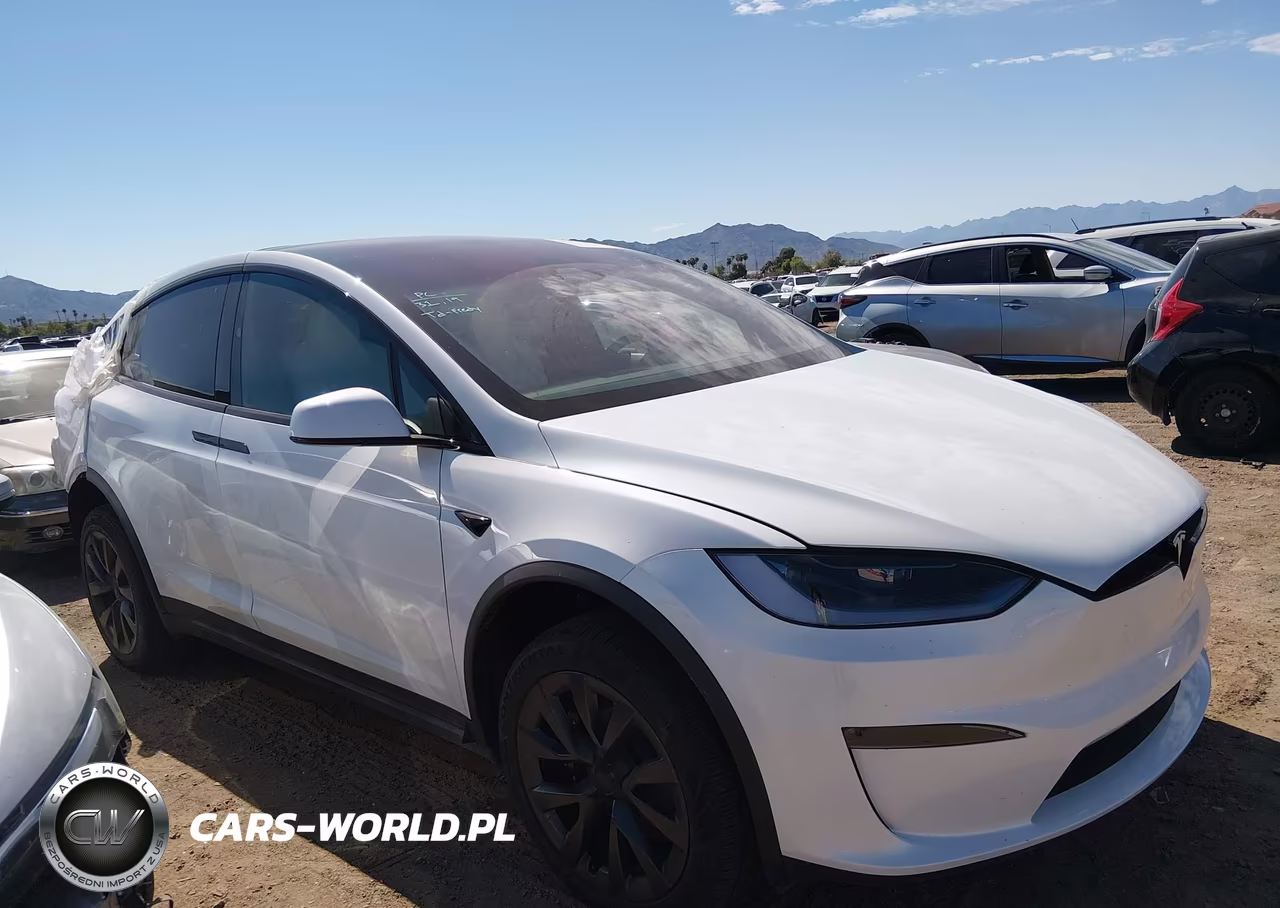 2025 Tesla Model X Long Range VIN:7SAXCBE58SF472007 - 12