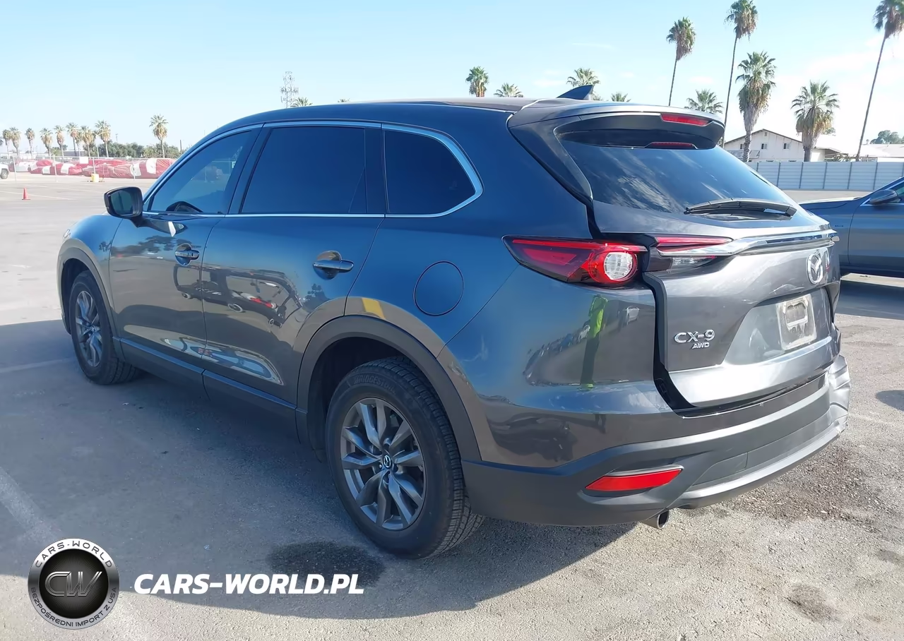 2022 Mazda Cx-9 Touring VIN:JM3TCBCY5N0612923 - 3