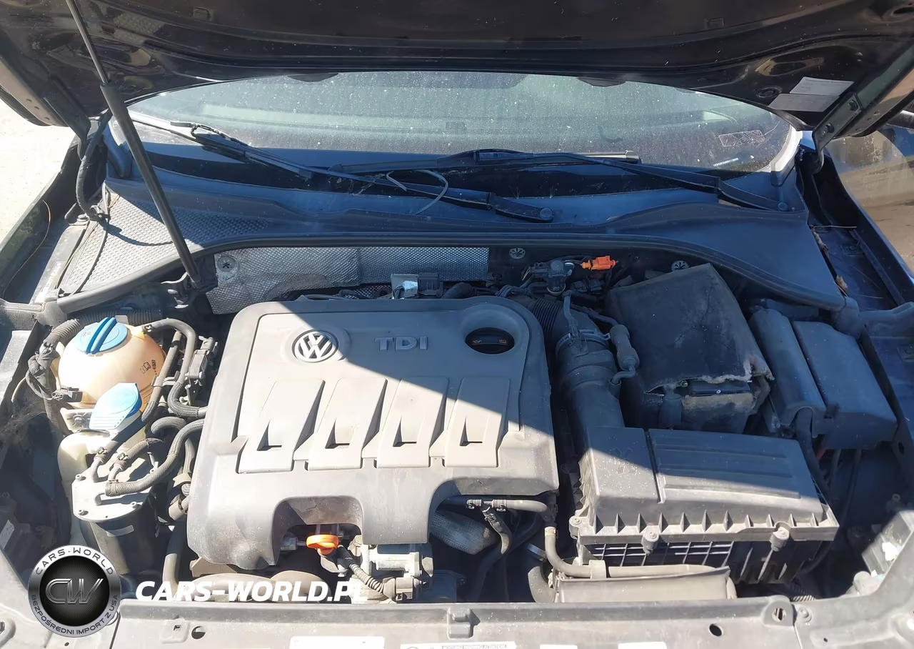 2013 Volkswagen Passat 2.0L Tdi Sel Premium VIN:1VWCN7A35DC118045 - 10