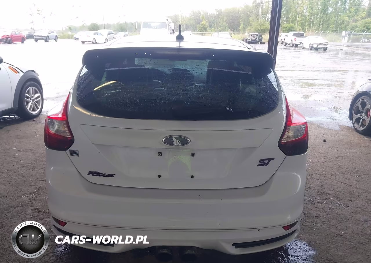 2014 Ford Focus St VIN:1FADP3L93EL135686 - 16