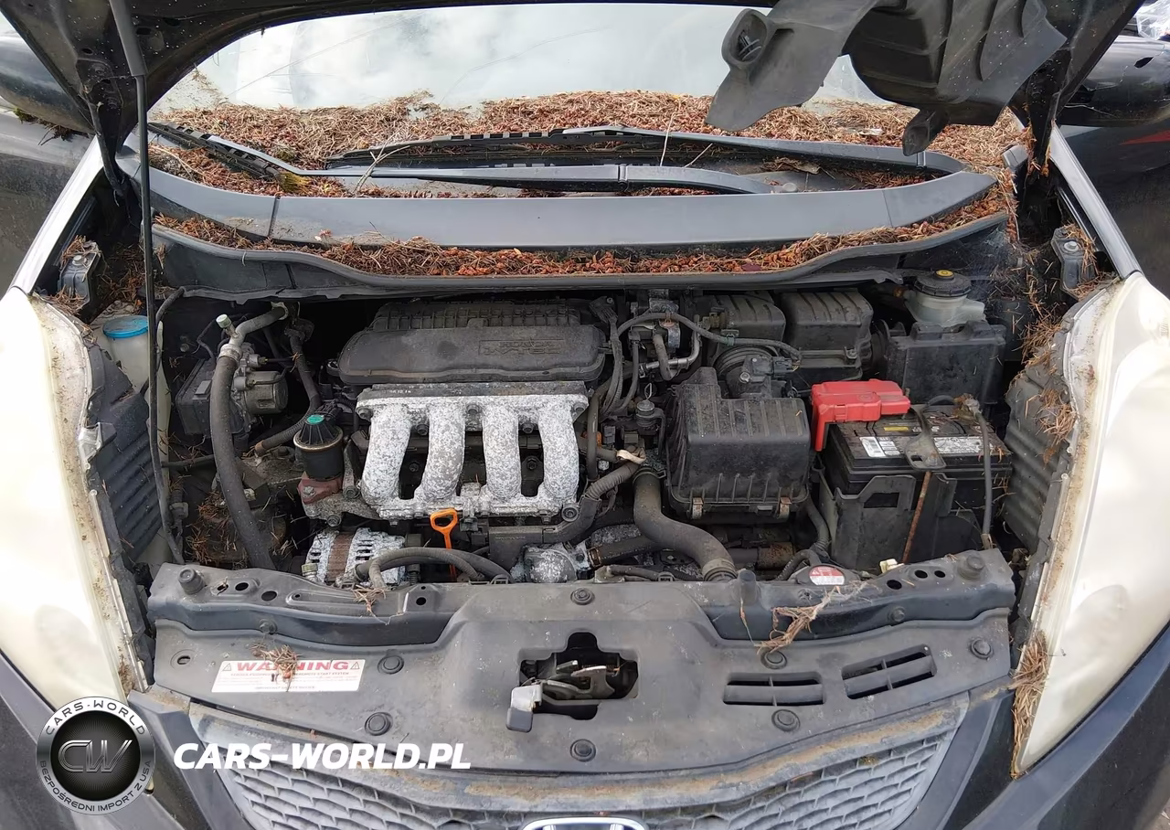 2009 Honda Fit Sport VIN:JHMGE88409S043145 - 10