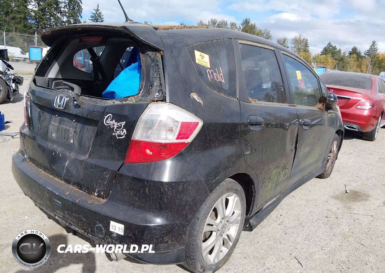 2009 Honda Fit Sport VIN:JHMGE88409S043145 - 4