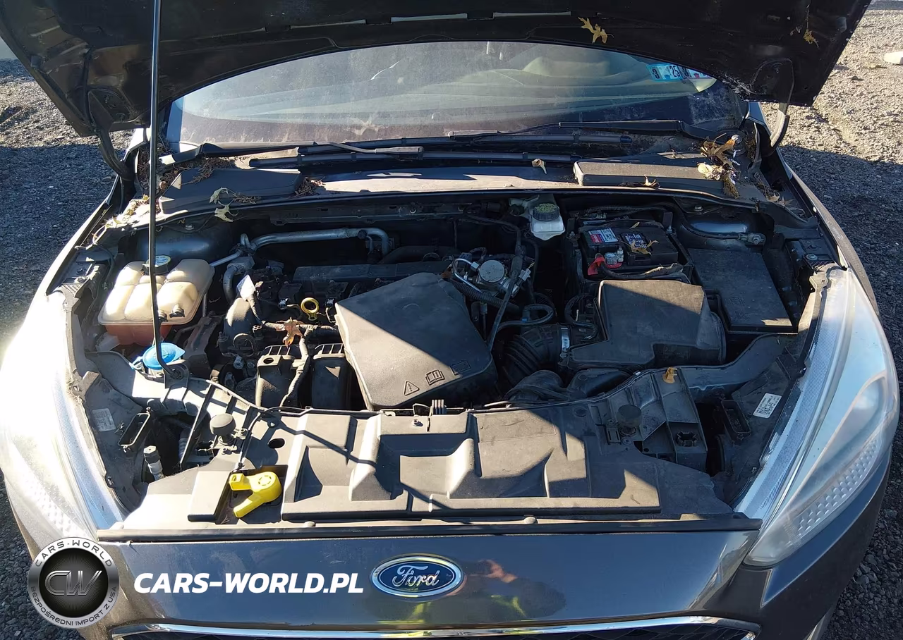 2017 Ford Focus Se VIN:1FADP3F2XHL326508 - 10