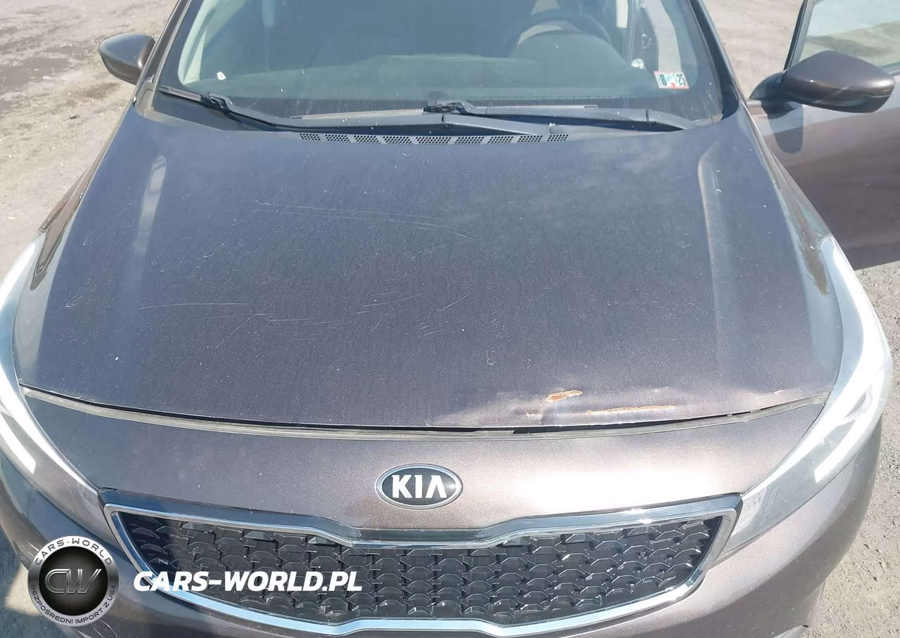 2018 Kia Forte Lx VIN:3KPFK4A73JE204436 - 6