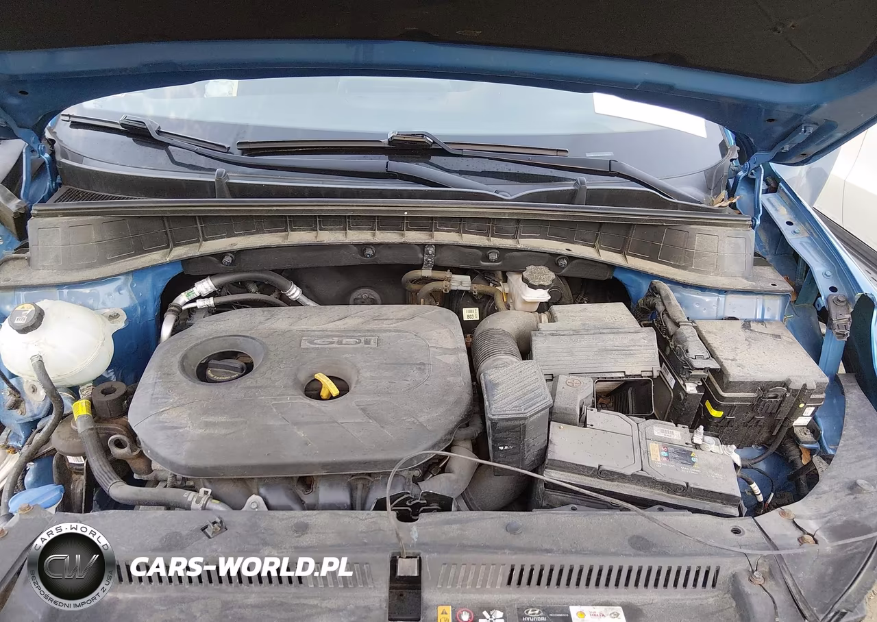 2019 Hyundai Tucson Value VIN:KM8J3CA43KU078259 - 10
