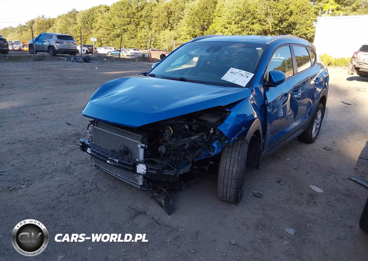 2019 Hyundai Tucson Value VIN:KM8J3CA43KU078259 - 2
