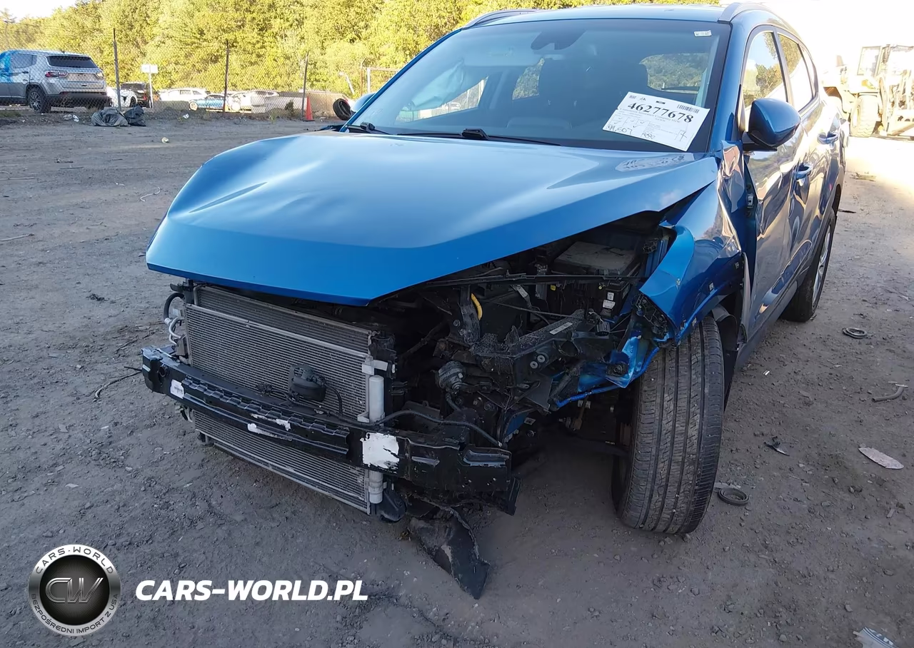 2019 Hyundai Tucson Value VIN:KM8J3CA43KU078259 - 6
