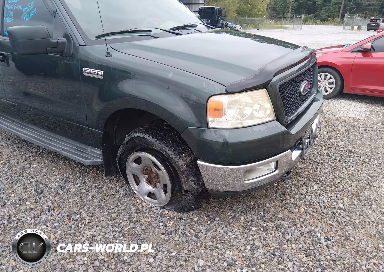 2004 Ford F-150 Fx4-Lariat-Xl-Xlt VIN:1FTPX14514NC21461 - 6