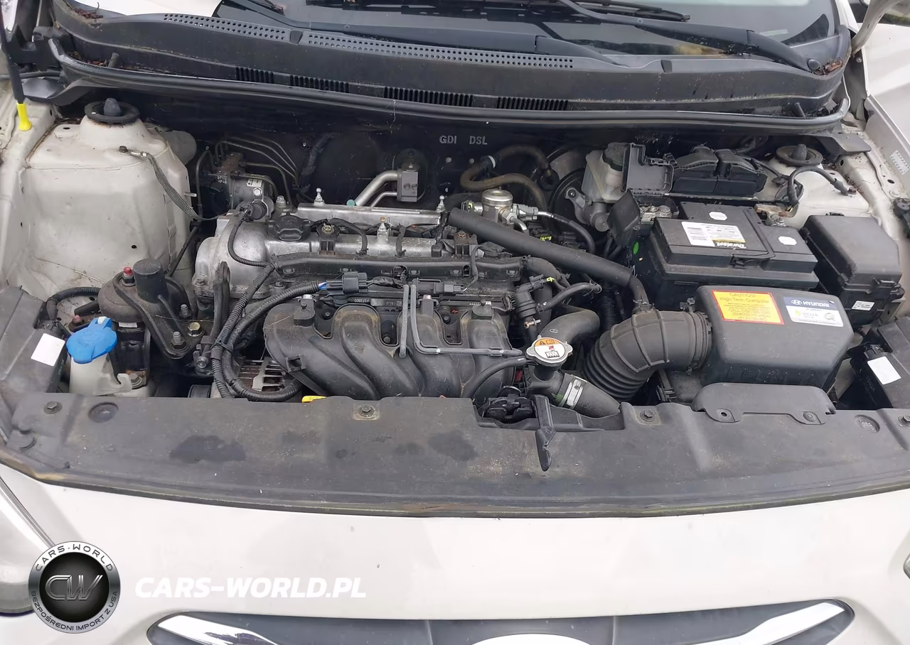 2016 Hyundai Accent Se VIN:KMHCT4AE9GU974029 - 10