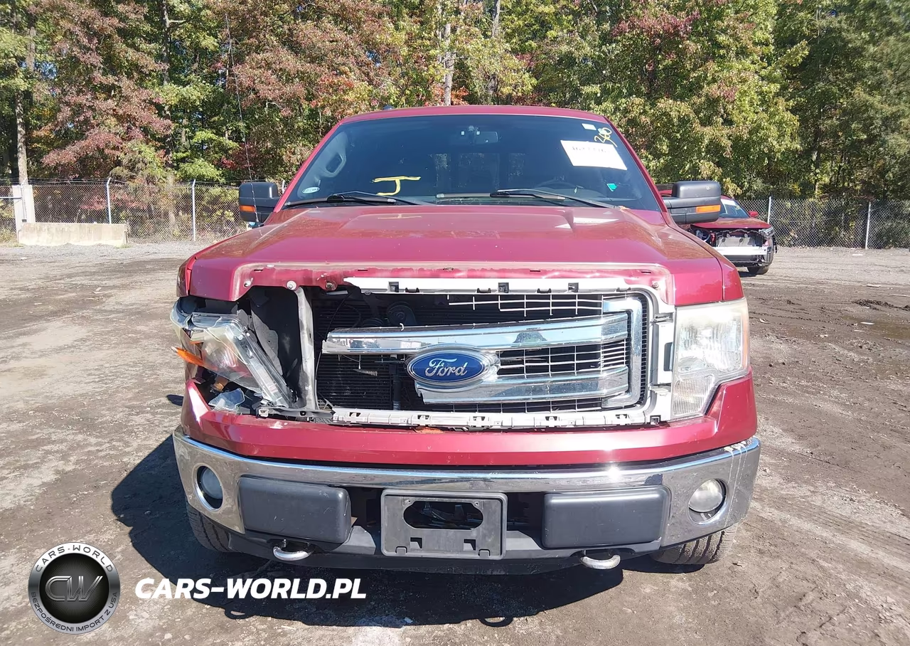 2013 Ford F-150 Xlt VIN:1FTFW1EF6DKD12393 - 12