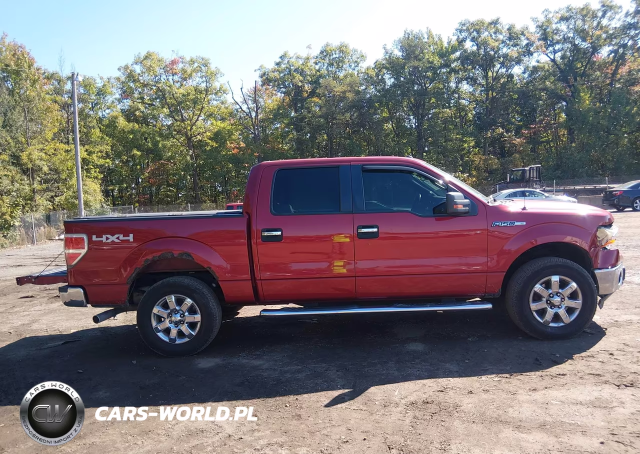 2013 Ford F-150 Xlt VIN:1FTFW1EF6DKD12393 - 13