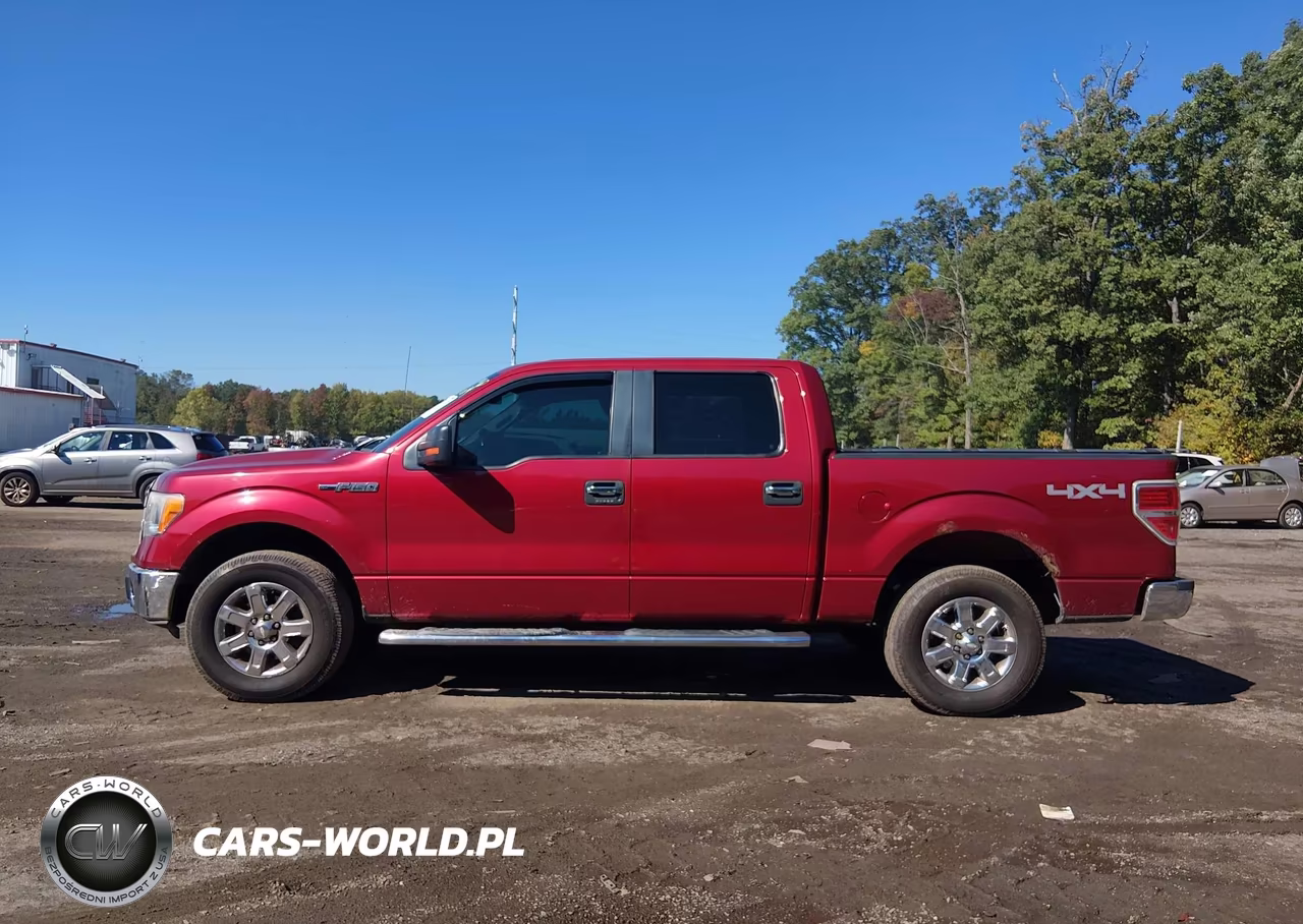 2013 Ford F-150 Xlt VIN:1FTFW1EF6DKD12393 - 14