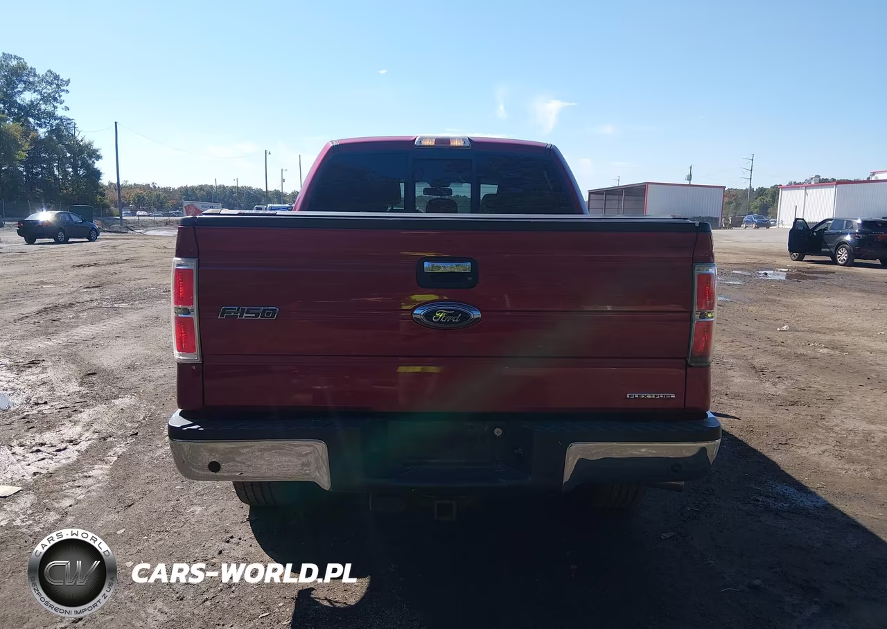 2013 Ford F-150 Xlt VIN:1FTFW1EF6DKD12393 - 16