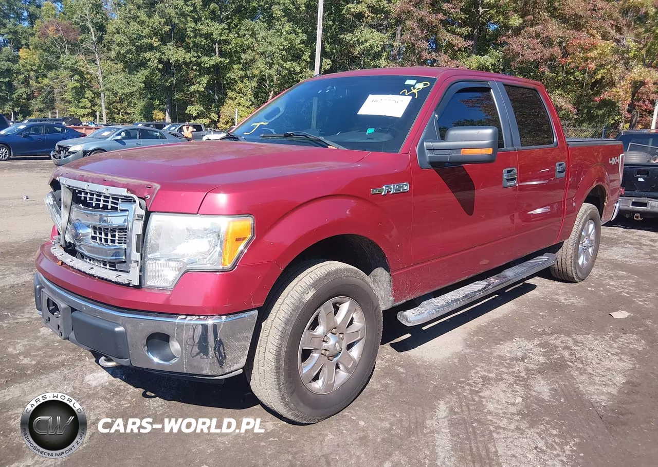 2013 Ford F-150 Xlt VIN:1FTFW1EF6DKD12393 - 2
