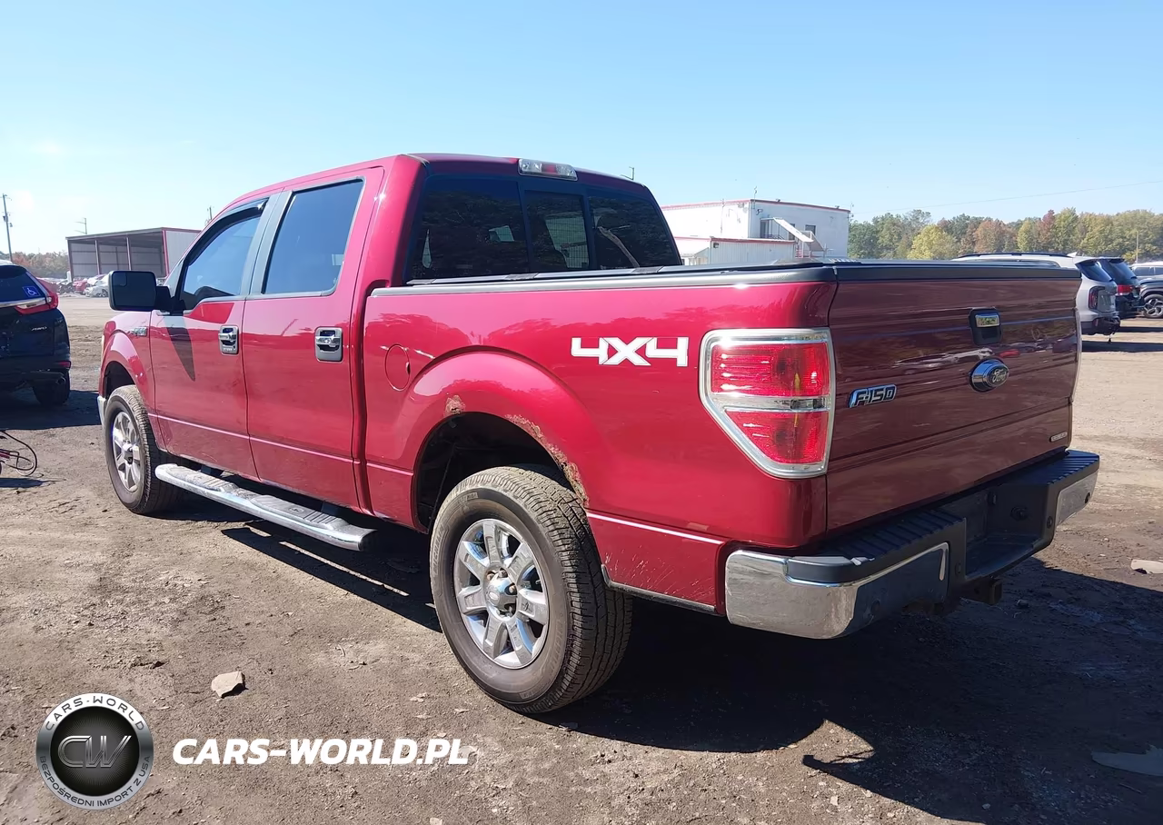 2013 Ford F-150 Xlt VIN:1FTFW1EF6DKD12393 - 3