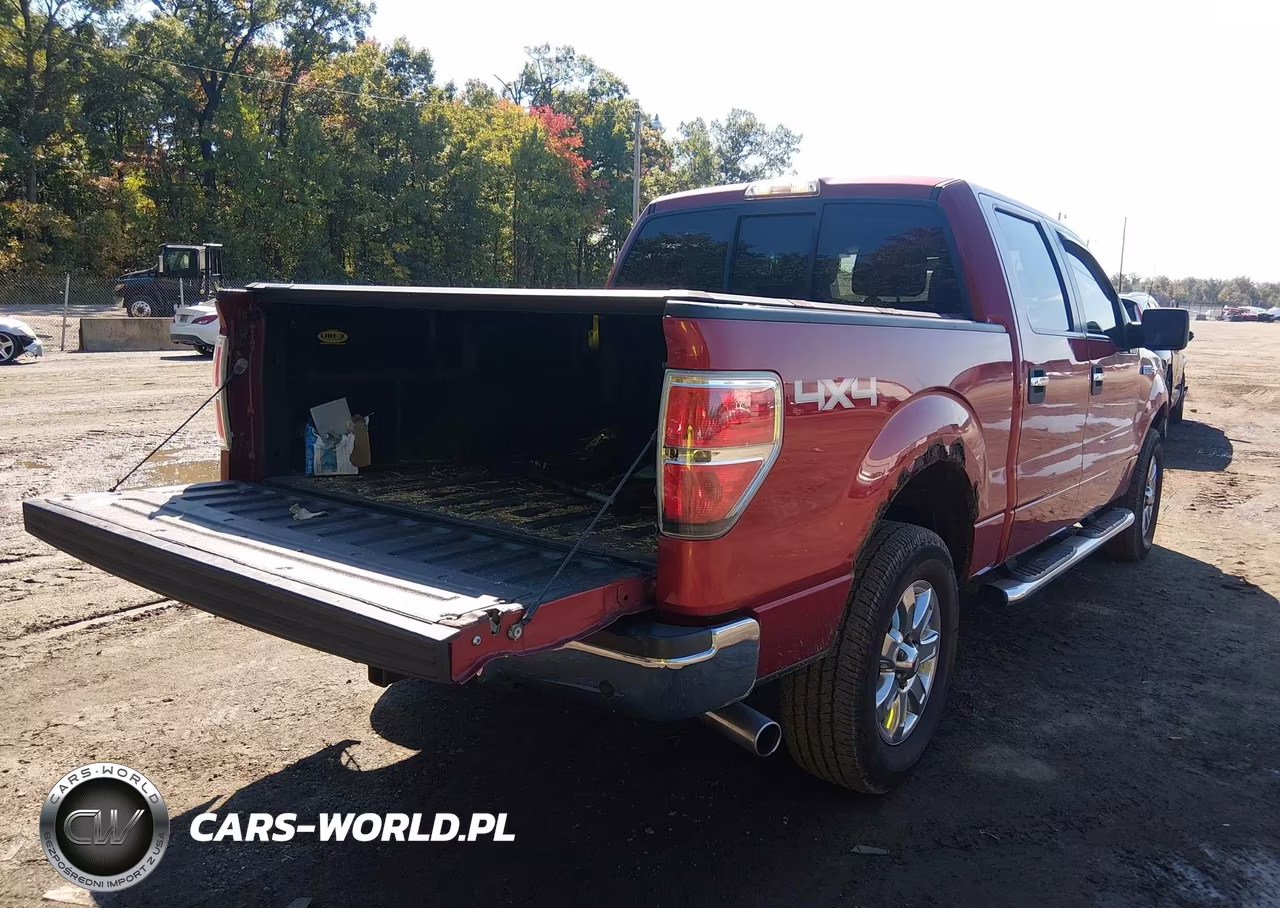 2013 Ford F-150 Xlt VIN:1FTFW1EF6DKD12393 - 4