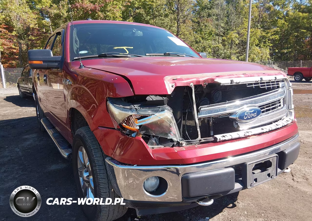 2013 Ford F-150 Xlt VIN:1FTFW1EF6DKD12393 - 6