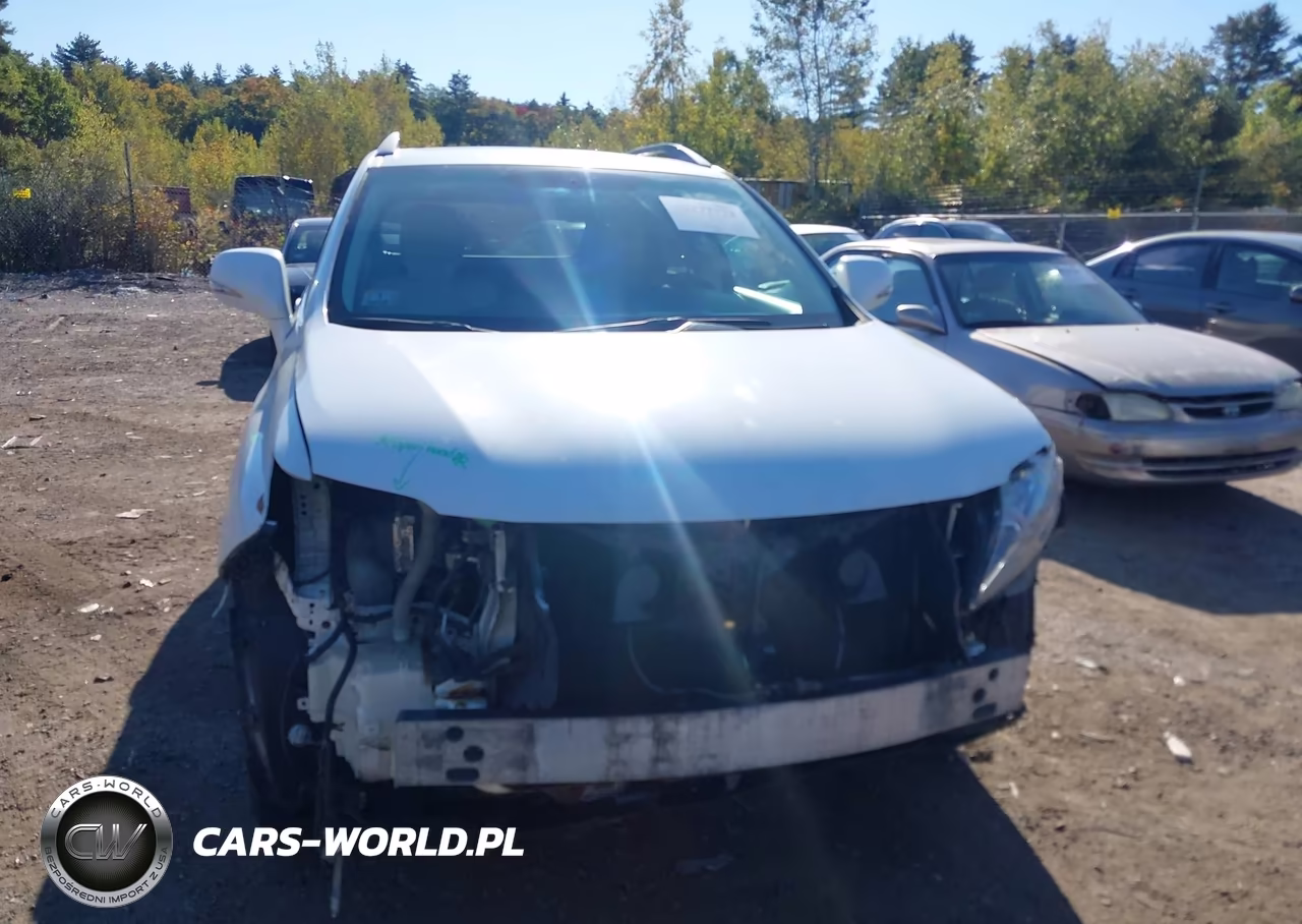 2010 Lexus Rx 350 VIN:2T2BK1BA6AC005415 - 13